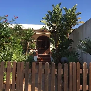 Le Palme San Vito Lo Capo
